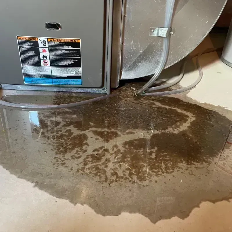 Appliance Leak Cleanup in Lincoln County, KS